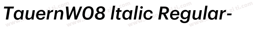 TauernW08 ltalic Regular字体转换